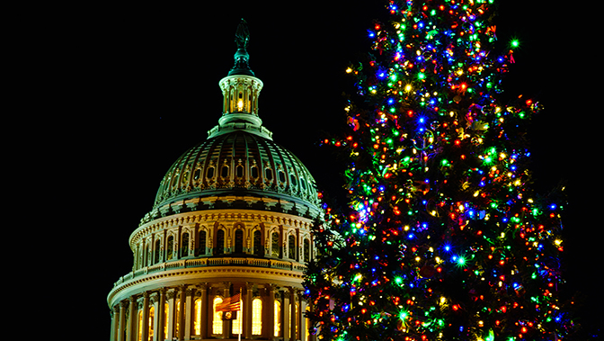 Capitol Christmas Tree 2023